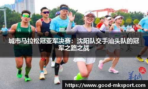 城市马拉松冠亚军决赛：沈阳队交手汕头队的冠军之路之战