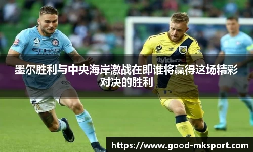 MK体育官方网站